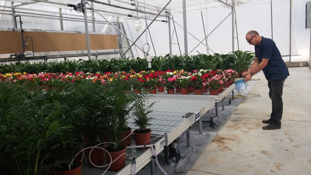 Udarea corectă a plantelor