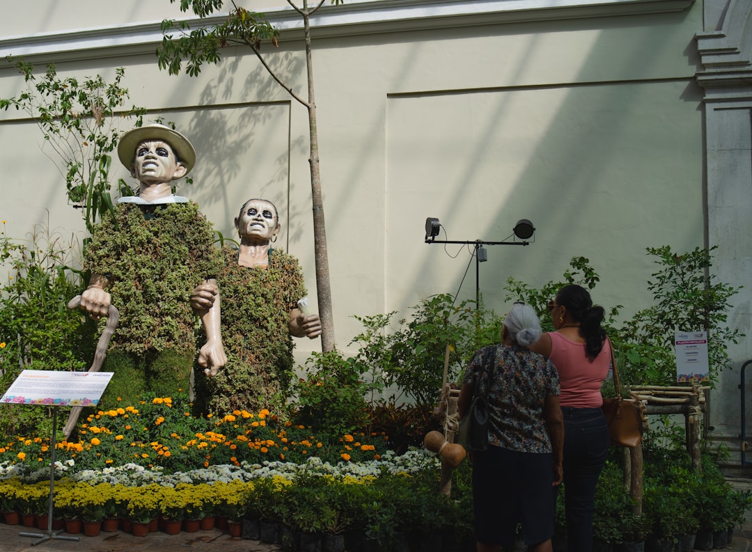Plante care pot îmbunătăți calitatea aerului